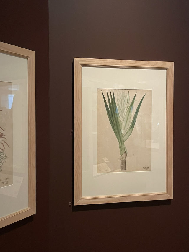 🖼️📚 RAMM – พิพิธภัณฑ์ที่ไม่ได้แค่โชว์ของ ✨🎨