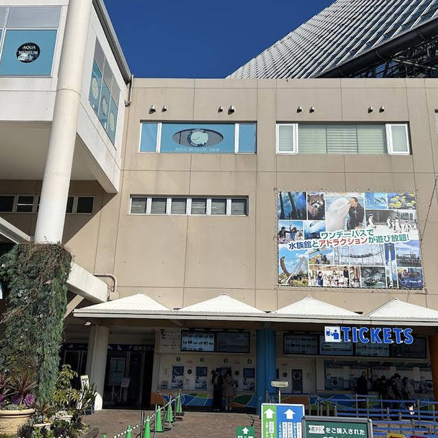 【神奈川/横浜🇯🇵】海と生き物と遊びが融合🐠🫧‪横浜・八景島シーパラダイス