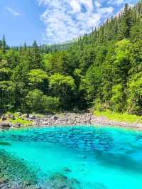 “Emerald Dreamscape of Jiuzhaigou”