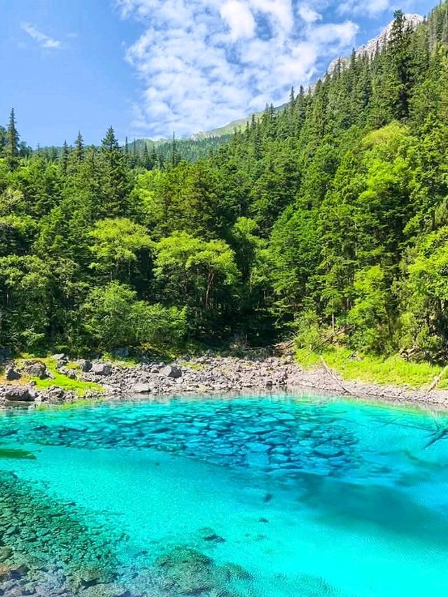 “Emerald Dreamscape of Jiuzhaigou”
