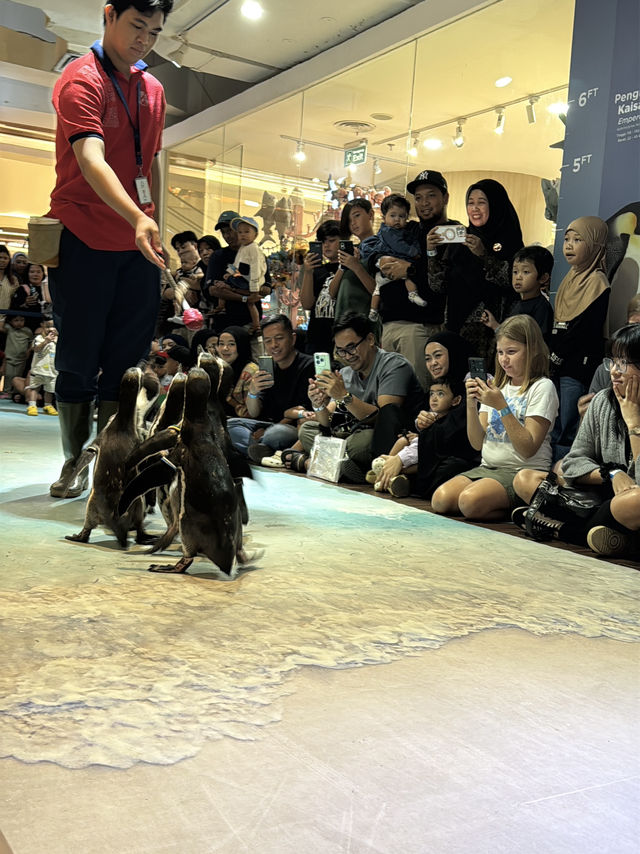 Aquarium in a mall?? Only at Jakarta Aquarium and Safari! Aquarium in a mall?? Only at Jakarta Aquarium and Safari!