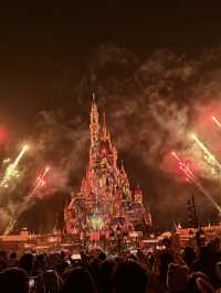 Disneyland in New Year 2025