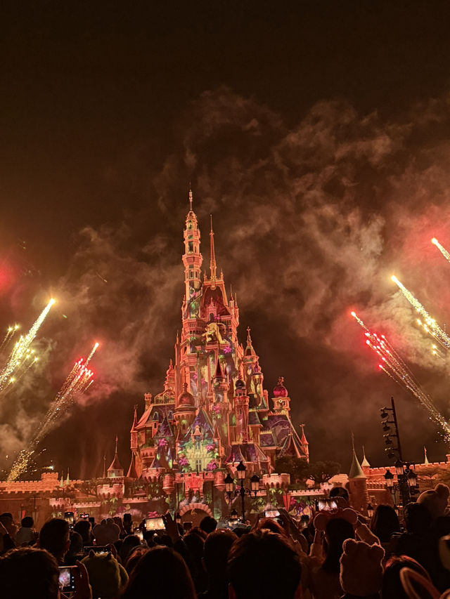 Disneyland in New Year 2025