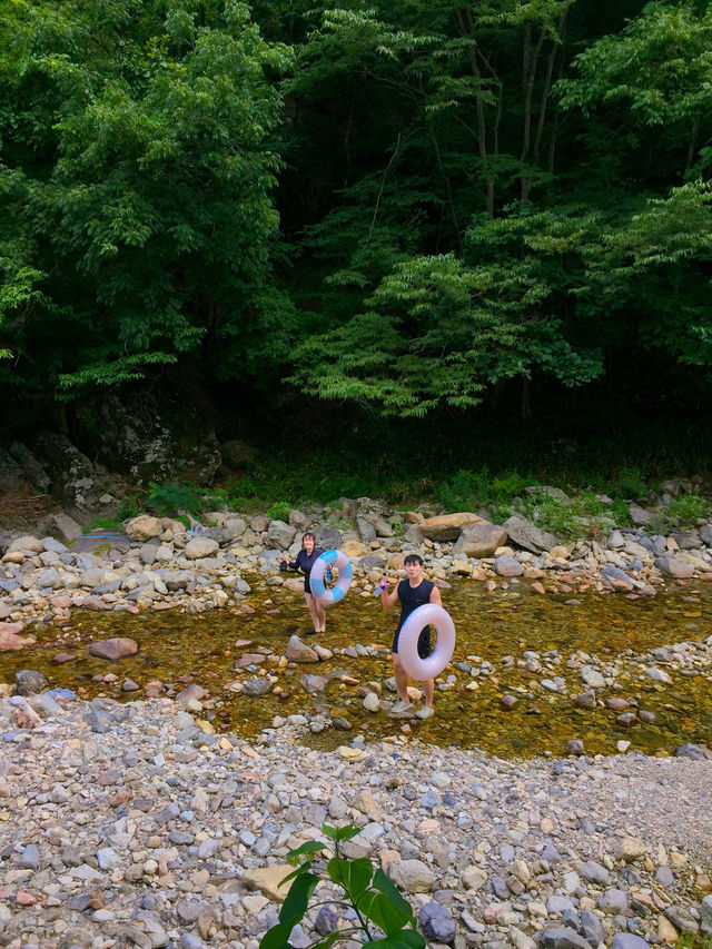 한국 여름 여행 일정 추천드립니다 🩵💙