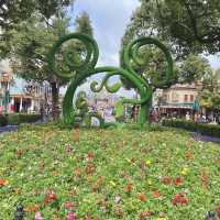 🎠🌈  Shanghai Disneyland  🏰  