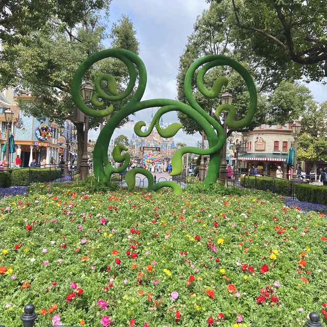 🎠🌈  Shanghai Disneyland  🏰  