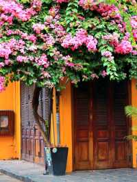 Hoi An Ancient Town: A Journey Back in Time