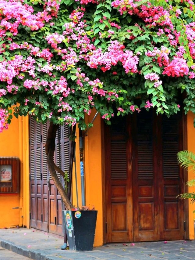 Hoi An Ancient Town: A Journey Back in Time
