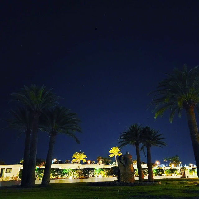 Sun, Sand, and Scenic Dunes in Maspalomas 