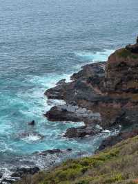 【莫寧頓半島｜海岸與葡萄酒交織的靜謐之旅】