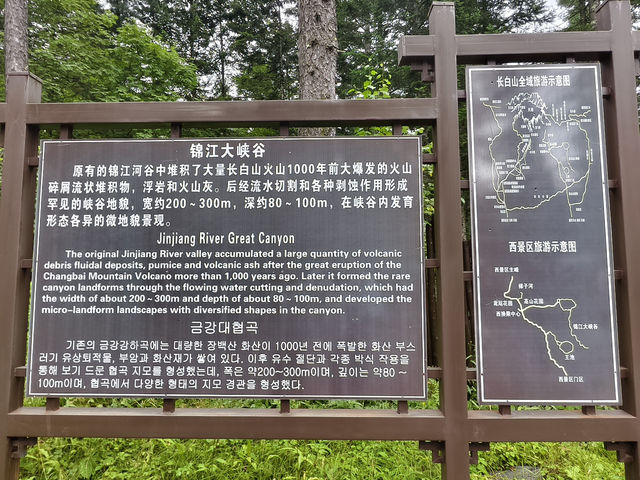 就算是下雨也是要衝上山一睹紅顏