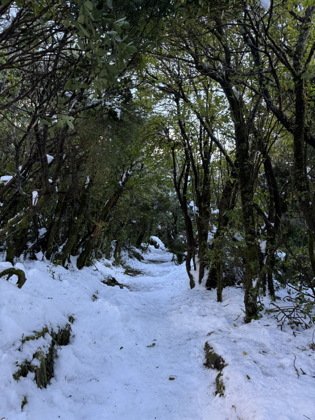 ニュージーランド🇳🇿 マウントクック　キアポイント🗻