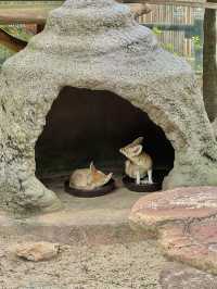 ๐ข ์ฉ์ธ ์๋ฒ๋๋, ๋์ด์ ์ฒดํ์ ํ๋ฃจ ๐