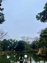 🐾 제주에서 만나는 귀여움 폭발! 스누피가든 여행기 🌸