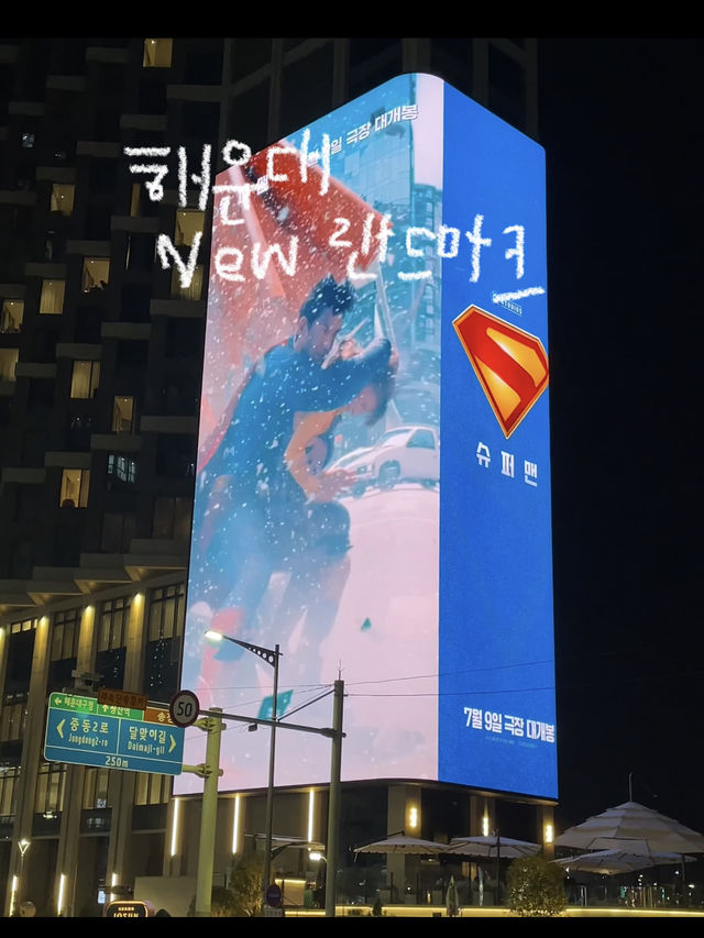 올 여름 더위를 날릴 수 있었던 여행기 #부산💛☀️