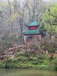 Yuelu Academy: The Millennium Cradle of Chinese Wisdom
