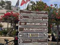 미스터트롯3 TOP7과 함께한 환상의 크루즈 여행, 카탈리나 섬과 엔세나다에서 선상 갈라쇼까지!