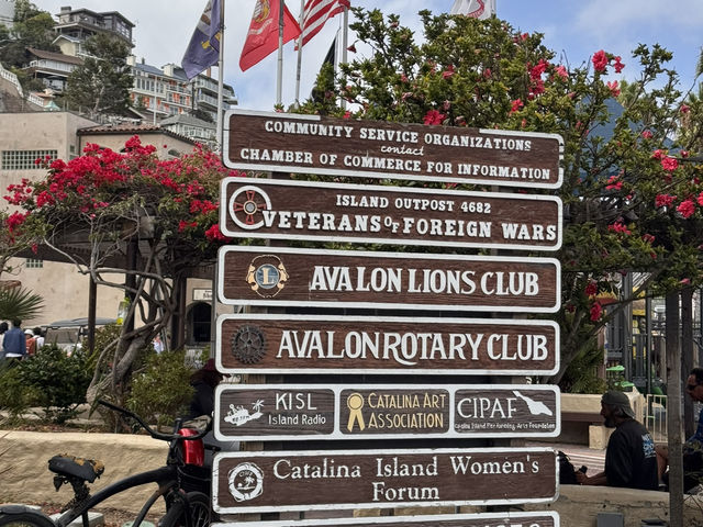 미스터트롯3 TOP7과 함께한 환상의 크루즈 여행, 카탈리나 섬과 엔세나다에서 선상 갈라쇼까지! 미스터트롯3 TOP7과 함께한 환상의 크루즈 여행, 카탈리나 섬과 엔세나다에서 선상 갈라쇼까지!