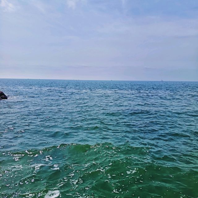 Seaside Serenity🌊