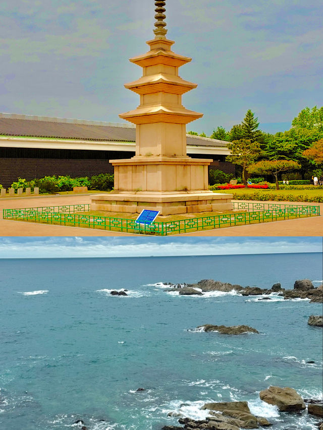 🌊 경주에서 즐기는 바다·역사·힐링의 하루 ✨
