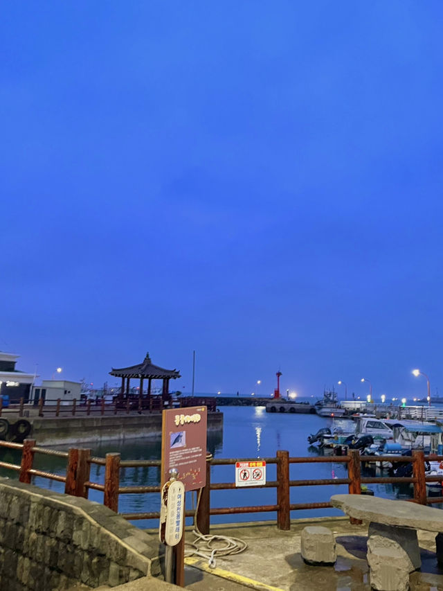제주 노형 수퍼마켙 -> 이호테우 해변 -> 흑돼지 코스 후기 🛒🌅🍖