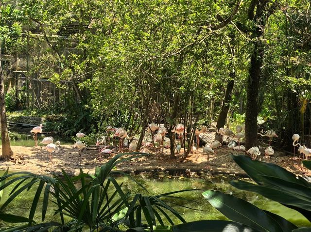 台北親子游必看動物園攻略✨台中市動物園