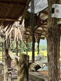 ร้านอาหารใจกลางทุ่งนา🌾