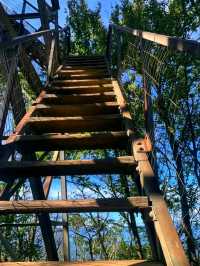 🔔 Firewatch Tower (Tűztorony) – The Icon of Sopron