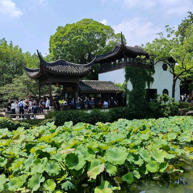你一句春不晚，我就到了真江南