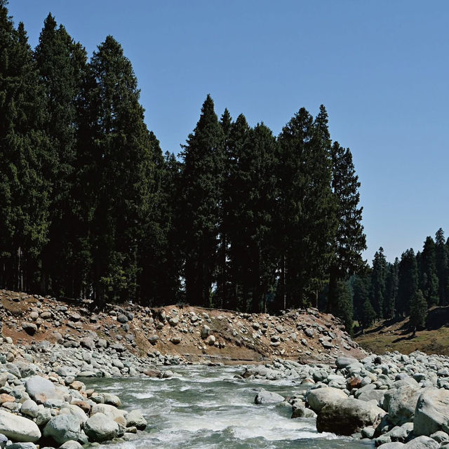 Doodhpathri - Kashmir 🇮🇳 Doodhpathri - Kashmir 🇮🇳