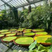 Kew Gardens (큐 가든, Royal Botanic Gardens)