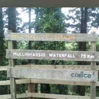 Mullinhassig Wood & Waterfalls, Aghavrin – Cork’s Wooded Waterfall Retreat