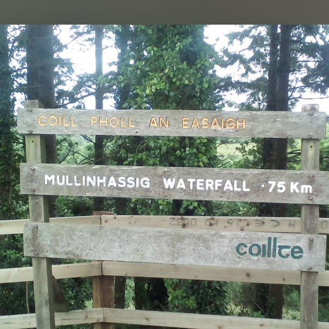 Mullinhassig Wood & Waterfalls, Aghavrin – Cork’s Wooded Waterfall Retreat
