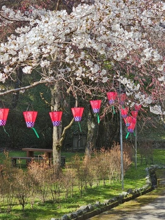 🇯🇵나라현 – 탄잔 신사 십삼층탑