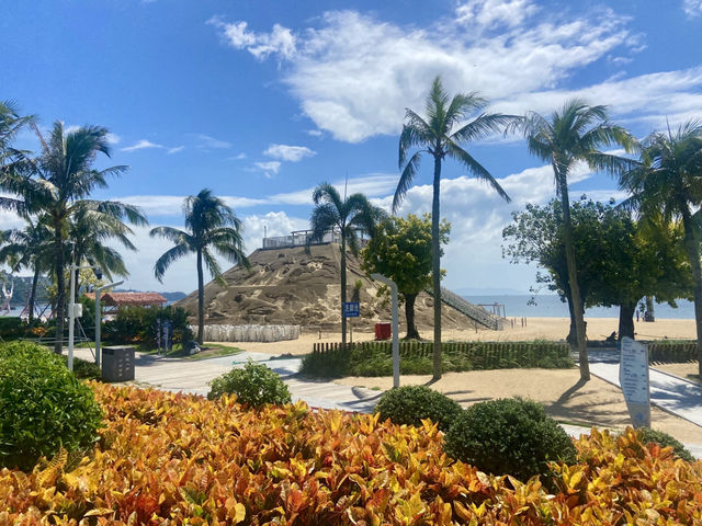 🌴椰樹下吹海風靚影打卡✨ 享受強風前夕的明媚陽光與溫柔的海浪🌊
