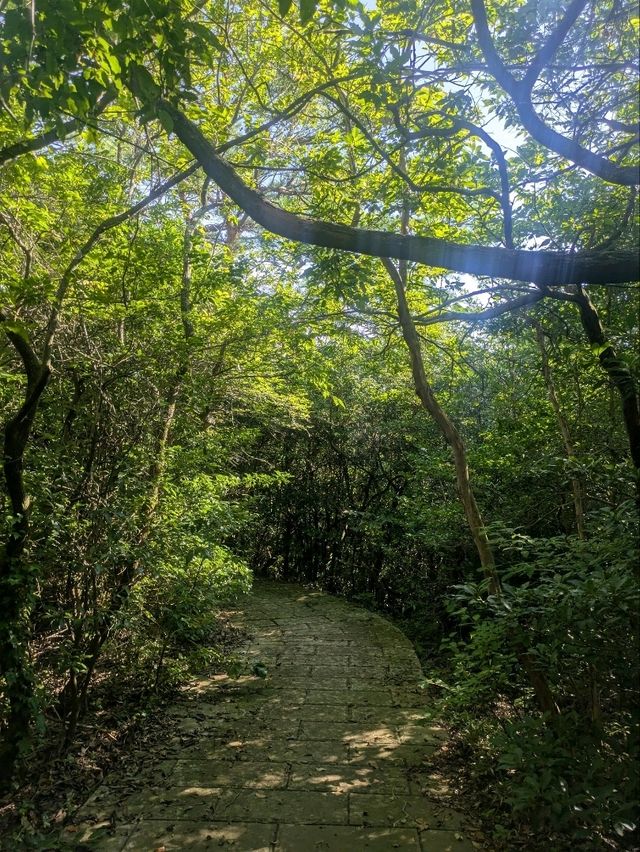 雲仙の地獄巡りで感じる大地の息吹✨⛰️