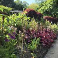 Dunedin Botanic Garden