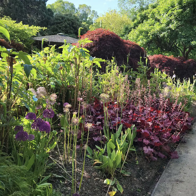 Dunedin Botanic Garden Dunedin Botanic Garden