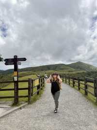 Escape to YangMingShan (QingTiangGang & LengShuiKeng) 🍃🌳