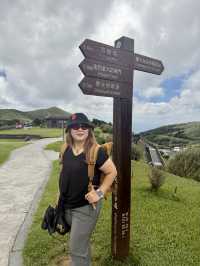 Escape to YangMingShan (QingTiangGang & LengShuiKeng) 🍃🌳