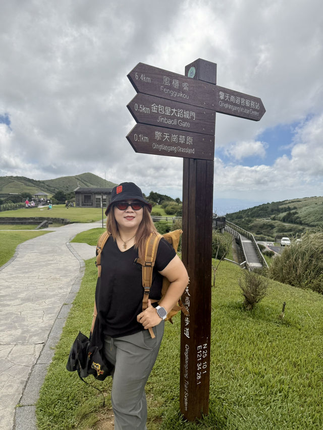 Escape to YangMingShan (QingTiangGang & LengShuiKeng) 🍃🌳