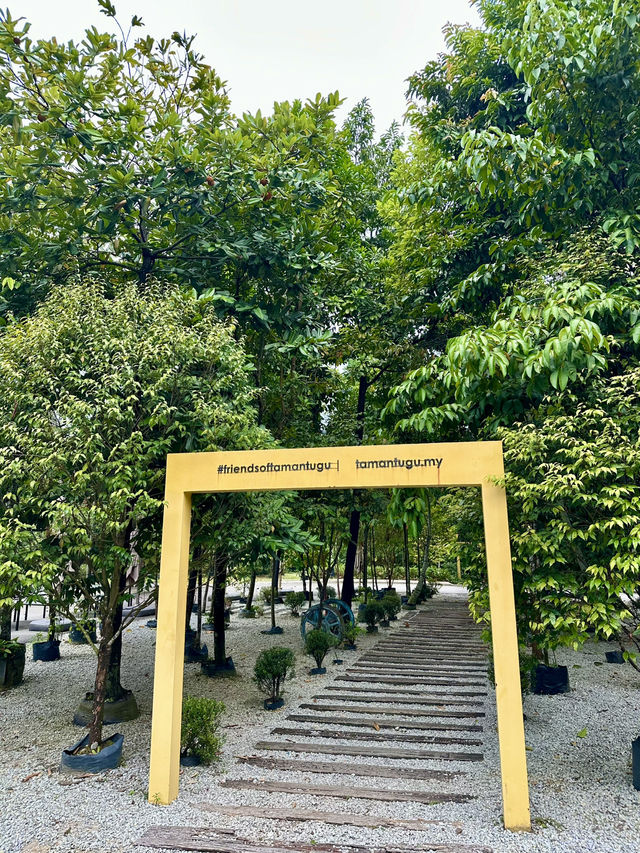 Urban Jungle Walk🌳  Taman Tugu
