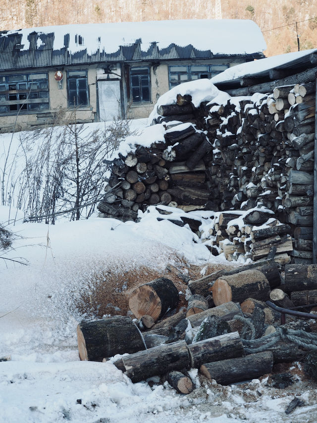 China Snow Valley (中国雪谷) : สวรรค์แห่งหิมะขาวโพลน