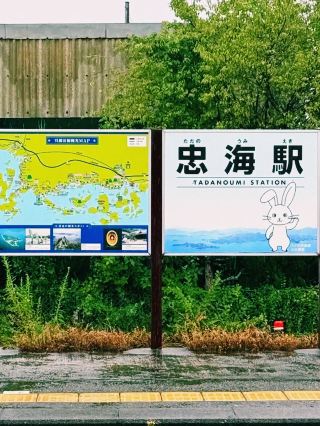 Okunoshima, Japan🇯🇵