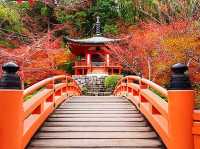 🍁 Daigoji Temple – Kyoto, Japan ⛩️🌿