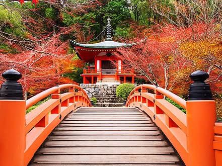 🍁 Daigoji Temple – Kyoto, Japan ⛩️🌿