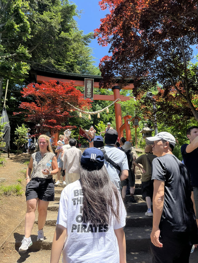 【秋日限定】淺間公園的夢幻畫面