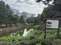 Imperial Palace East National Gardens