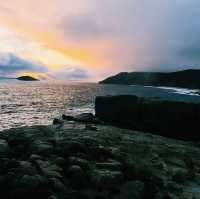 The Blow Holes