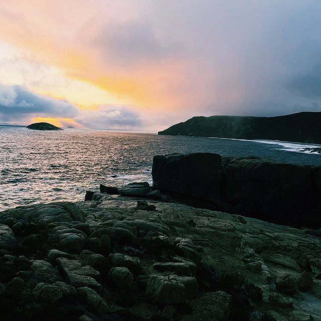 The Blow Holes